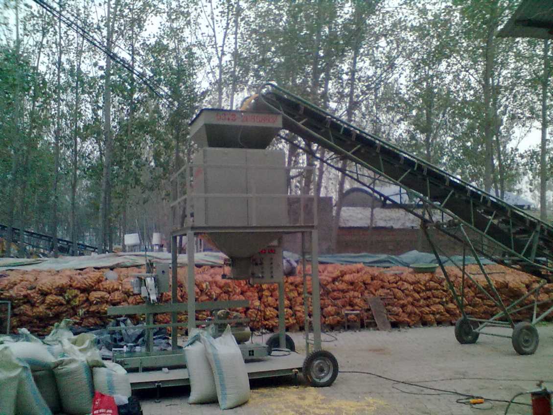 河北玉米包装机